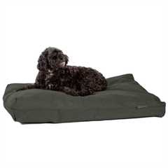 F[-1]99_anti_bacterial_green_deluxe_duvet_with_dog_1602688733_6d74cf.jpg
